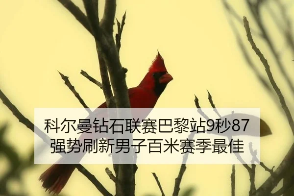 科尔曼钻石联赛巴黎站9秒87 强势刷新男子百米赛季最佳