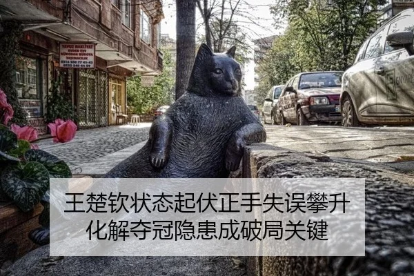 wang-chu-qin-zhuang-tai-qi-fu-zheng-shou-shi-wu-pan-sheng-hua-jie-duo-guan-yin-huan-cheng-po-ju-guan-jian-3-606.jpg
