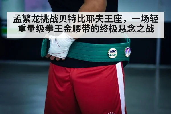 boxing championship belt